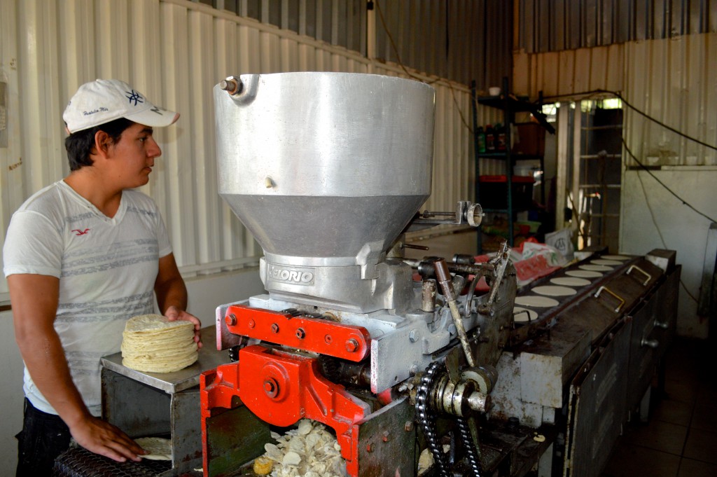 A man working the tortilla machine, showing the daily practice of making corn tortillas that connects to Mexico's cultural heritage and traditions. (Image © Eva Boynton)