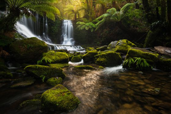 Jungle and waterfall in Tasmania, landscape photography that creates a virtual journey and a celebration of Earth Day. (Image © Pierre Destribats.)