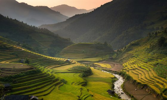 Vietnam rice terraces, a virtual journey through landscape photography in celebration of Earth Day. (Image © Sarawut Intarob.)