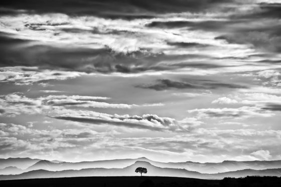 Lone tree in clouds, landscape photography that provides a virtual journey and a celebration of Earth Day. (Image © Marcos Furer.)