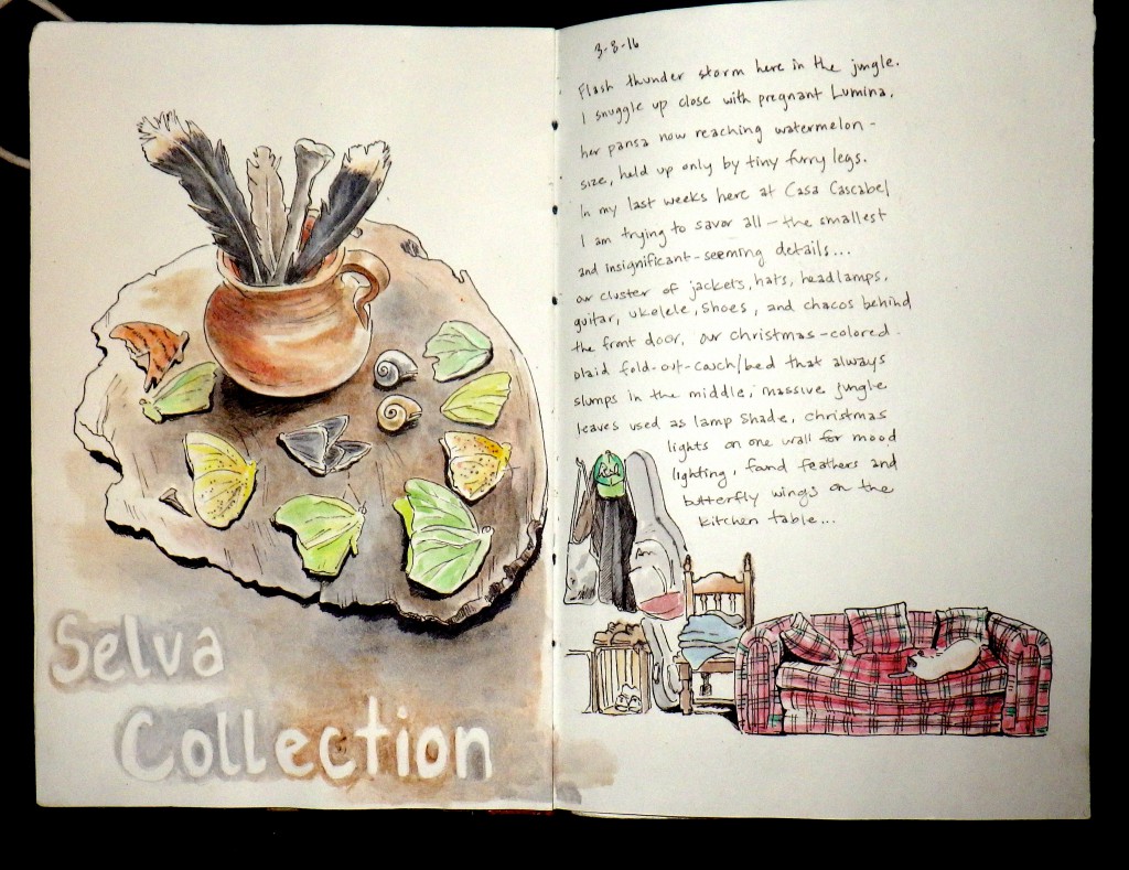 Drawing of a jungle collection and inside of a house, showing an aha moment within a travel sketchbook (image © Eva Boynton).