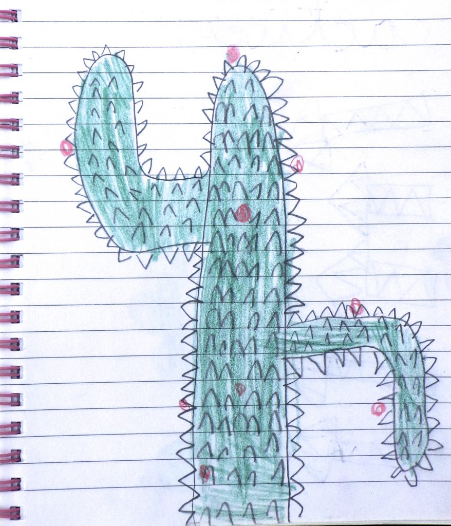 Drawing of a cactus by an eight-year-old, showing an aha moment uncovered in a travel sketchbook (drawing © Charlotte Conk).
