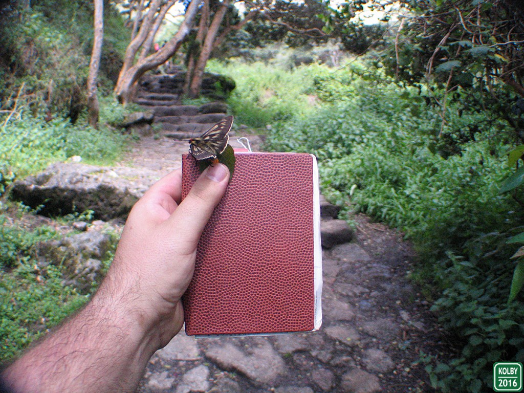 A hand holding a travel sketchbook on a hike, illustrating that many an aha moment waits inside. (image © Kolby Kirk).