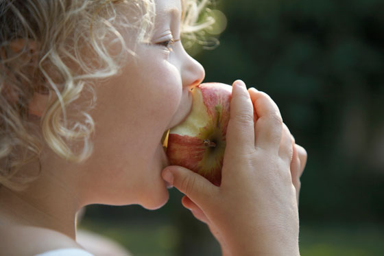 Child eating an apple, a part of healthy eating and fasting as we challenge the cultural traditions of food. (Image © Ableimages/Thinkstock.)