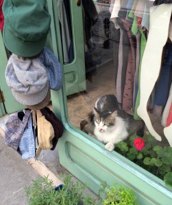 A cat in a hat shop in Istanbul captures the city's concern for stray cats and reflects the desire to preserve Turkish tradition and this aspect of Turkey's cultural heritage. (Image © Joyce McGreevy)
