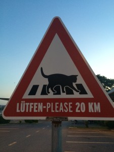 A traffic safety sign depicting a cat crossing the street in Istanbul captures the city's concern for stray cats and reflects the desire to preserve Turkish tradition and this aspect of Turkey's cultural heritage. (Image © Joyce McGreevy)
