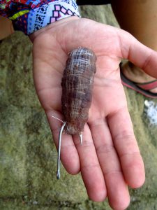 A hand holding fishing bait on the end of a hook, demonstrating part of the fishing lessons learned during an authentic cultural experience while traveling in Mexico. (image © Eva Boynton).