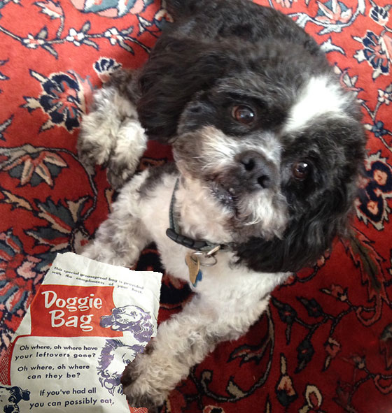 Dog with Doggy Bag, showing how different cultures deal with restaurant leftovers. (Image © Meredith Mullins & Charlie Meagher.)