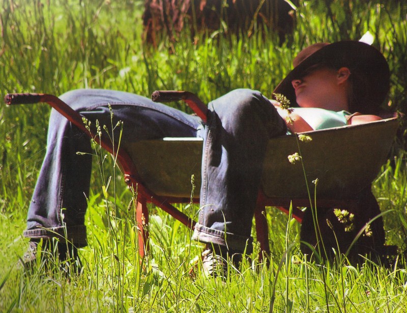 A woman sleeping in a wheelbarrow on a WWOOF farm where the work develops global citizens. (image © Courtesy of WWOOF Australia)