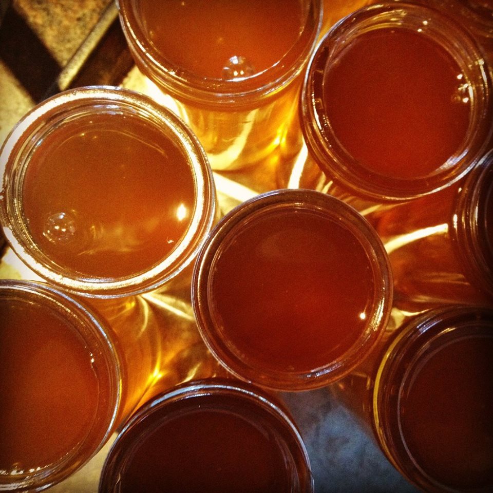 Jars of honey, showing the WWOOF education of a global citizen (image © Lizzy Eichorn).