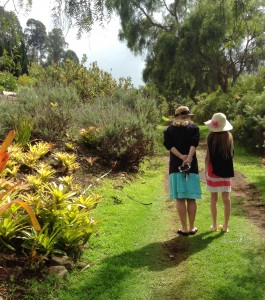 A journey begins with a nature walk in Maui, a popular source of travel anticipation. Image © Joyce McGreevy