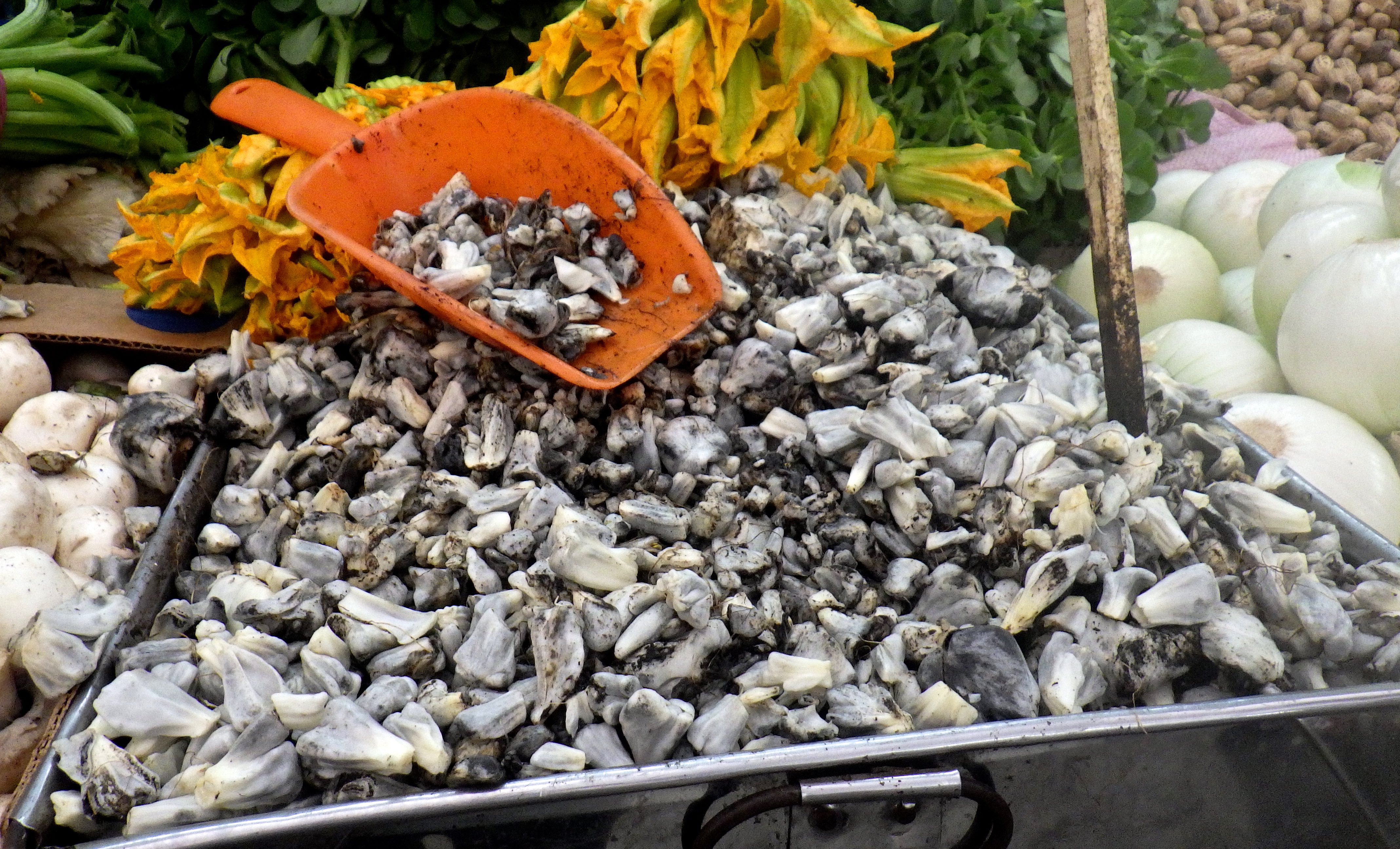 Huitlacoche fungus at the market, an artifact of cultural heritage at Central de Abasto (image © Eva Boynton).