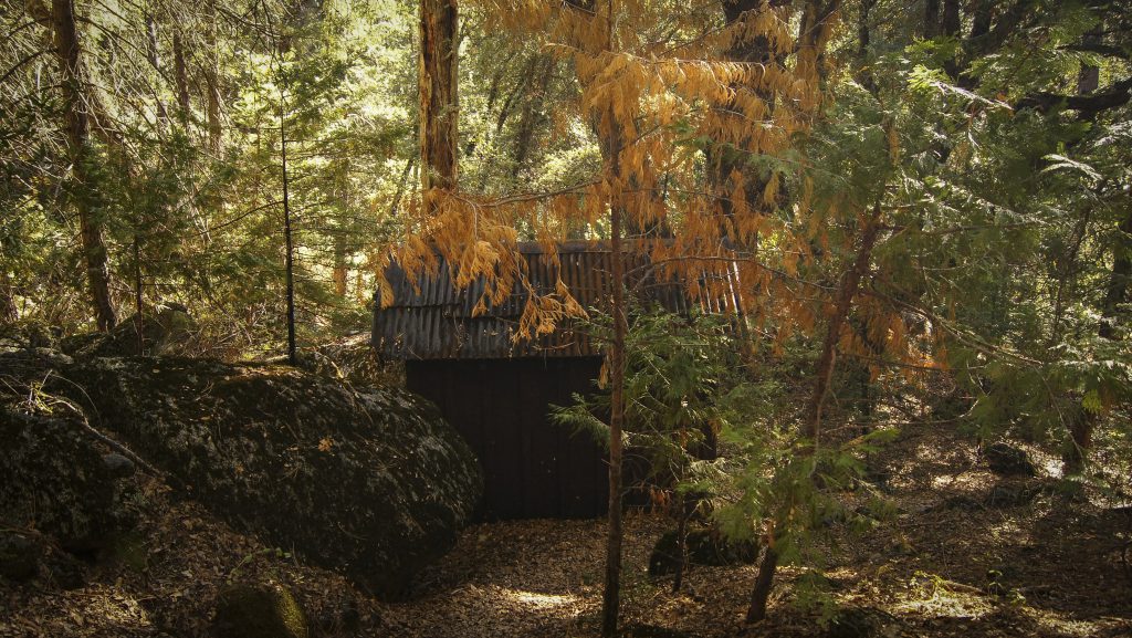 A deserted cabin in Yosemite Valley forest, illustrating that to open your eyes to experience Yosemite may be beyond the camera frame. (image © Sam Anaya)