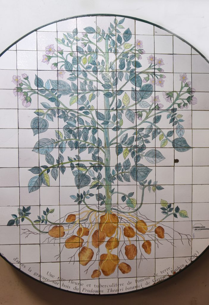 A tile representation of the potato plant at Parmentier Metro Station in Paris, showing the cultural heritage of the potato in France. (Image © Meredith Mullins.)