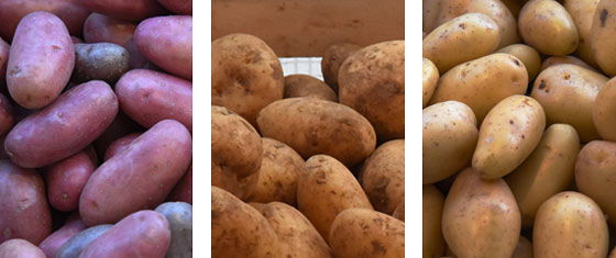 Three kinds of potatoes, showing the cultural heritage of the potato in France. (Image © Meredith Mullins.)