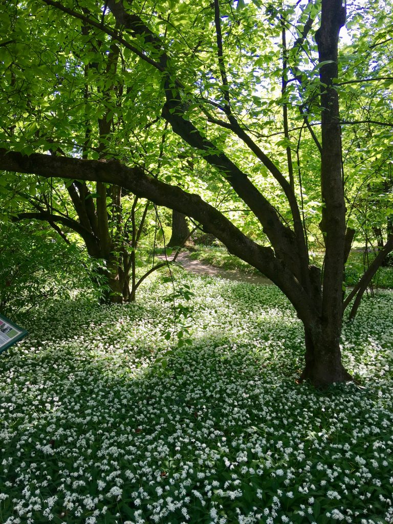 The Botanic Garden in Croatia’s capital shows why one of the best trips you can take is in one of Europe’s most underrated travel destinations, Zagreb. (Image © Joyce McGreevy)