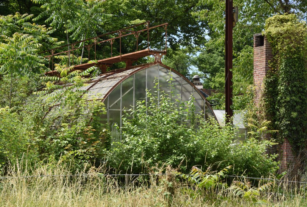 Greenhouse with overgrown foliage in the Jardin d'agronomie Tropicale, one of the hidden gardens of Paris where visitors can be traveling the world. (Image © Meredith Mullins.)