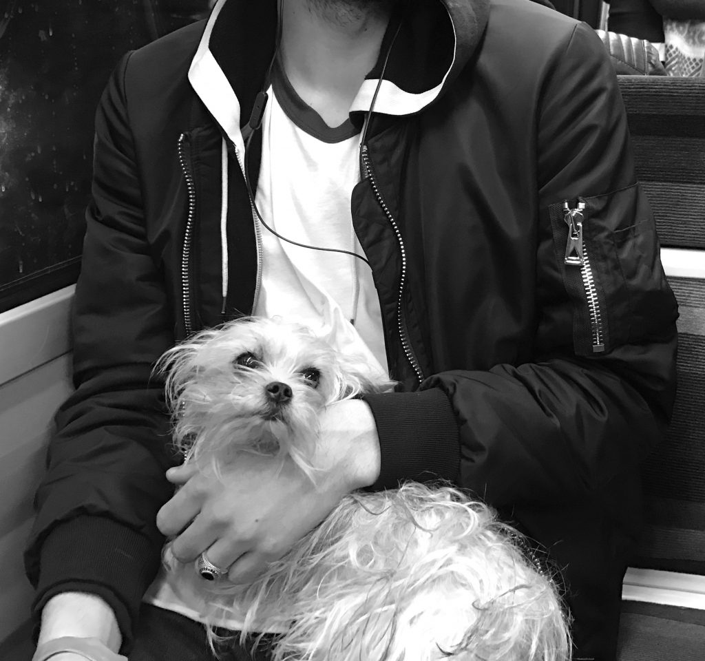 White dog in lap of man on Paris metro, showing travel tales that prove how easy dog travel is in Paris, France. (Image © Meredith Mullins.)