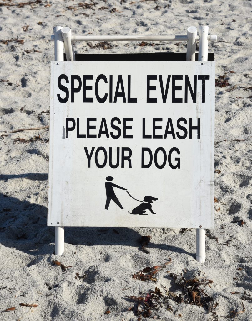 Sign to leash your dog at the Great Carmel Sand Castle Contest, a day for discovering the art of sand sculpture. (Image © Meredith Mullins.)