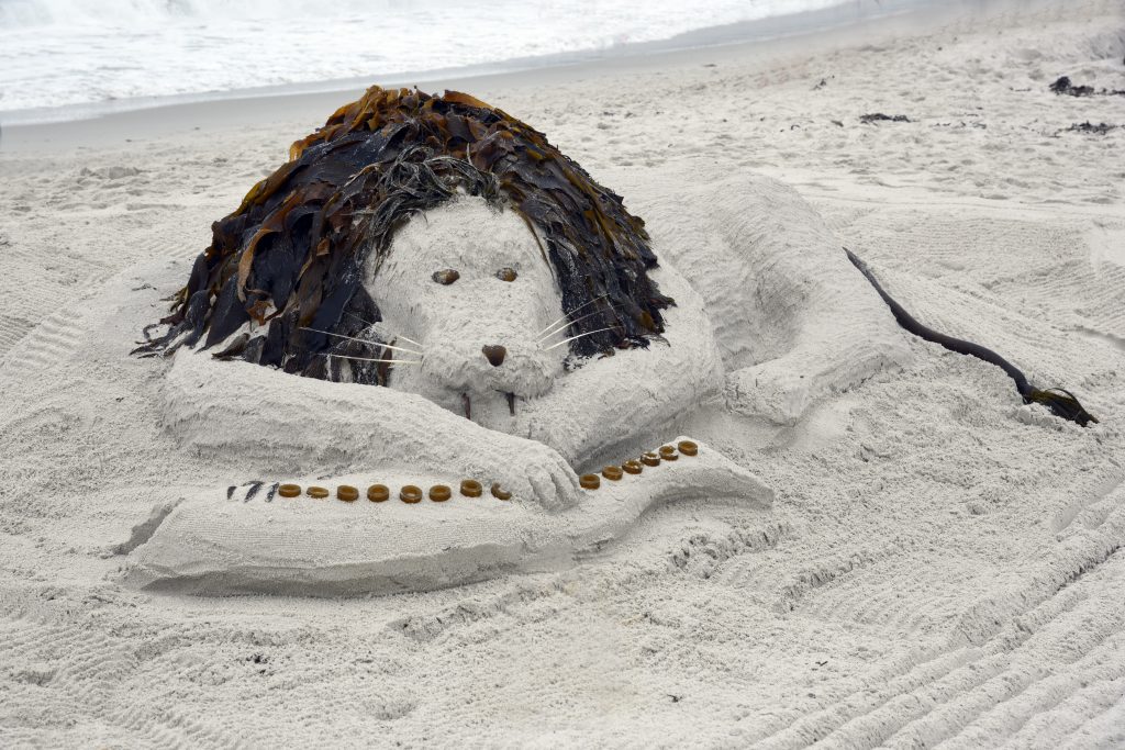 A lion sand sculpture, part of the great Carmel Sand Castle Contest, discovering the art of sand sculpting. (Image © Meredith Mullins.)