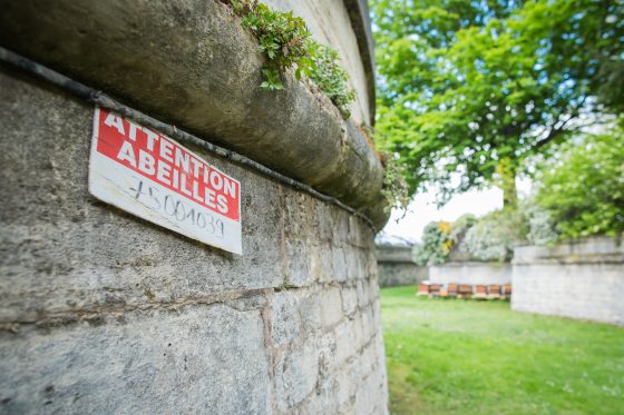 A sign in French saying beware of bees, part of a trend of discovering nature via urban beekeeping and the production of Paris honey. (Image © Le Miel de Paris.)