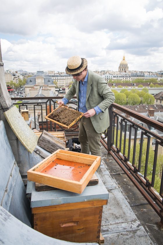 Audric de Campeau of Le Miel de Paris at Ecole Militaire in Paris, discovering nature through urban beekeeping and the production of Paris honey. (Image © Le Miel de Paris.)