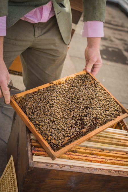 Close up of bee hive, discovering nature via urban beekeeping and the production of Paris honey. (Image © Le Miel de Paris.)