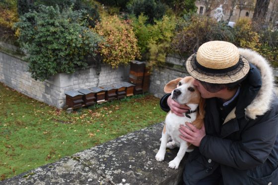 Audric de Campeau and Filou the dog at Invalides, discovering nature via urban beekeeping and the production of Paris honey. (Image © Meredith Mullins.)