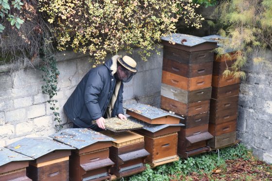 Audric de Campeau of Le Miel de Paris checking bee hives at Invalides, a way of discovering nature via urban beekeeping and the production of Paris honey. (Image © Meredith Mullins.)