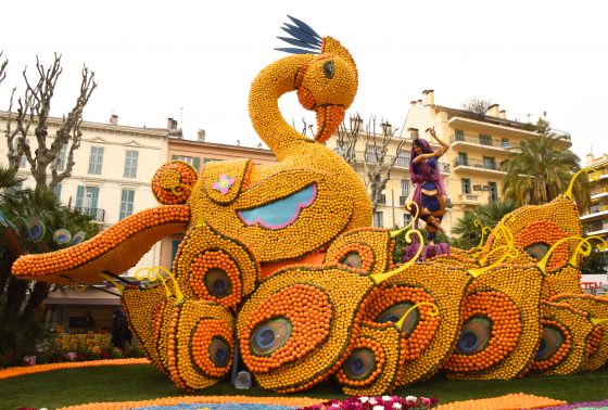 A peacock made of lemons and oranges at the Menton Lemon Festival, travel inspiration for unusual events. (Image © Meredith Mullins.)