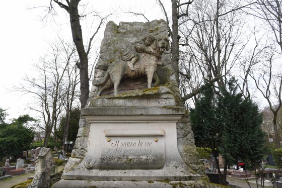 Statue to Barry the St Bernard at the Paris Pet Cemetery, showing cultural traditions for saying farewell to pets. (Image © Meredith Mullins.)
