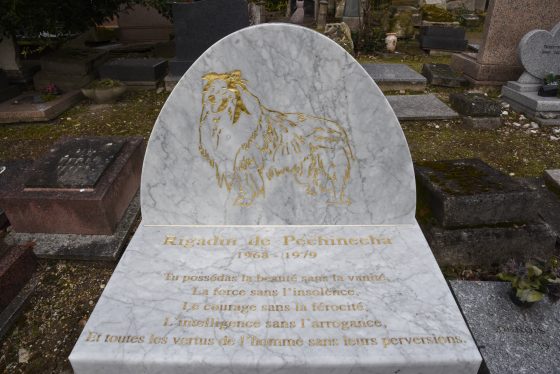 Tombstone for a collie at the Paris pet cemetery, showing cultural traditions for saying farewell to pets. (Image © Meredith Mullins.)