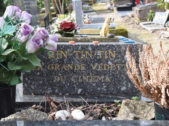 Rin Tin Tin grave at the Paris pet cemetery, showing cultural traditions of saying farewell to pets. (Image © Meredith Mullins.)