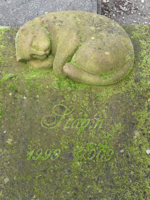 A carved cat on a tombstone in the Paris pet cemetery, showing cultural traditions of saying farewell to pets. (Image © Meredith Mullins.)