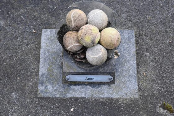 Tennis balls on tombstone in the Paris pet cemetery, showing cultural traditions for saying farewell to pets. (Image © Meredith Mullins.)