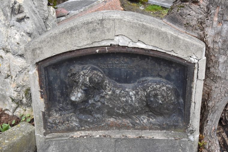 Carved dog on tombstone in the Paris pet cemetery, showing cultural traditions for pet lovers. (Image © Meredith Mullins.)