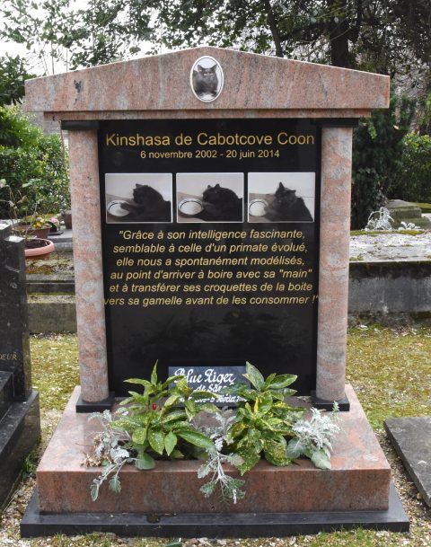 Grave of Kinshasa de Cabotcove Coon at the Paris pet cemetery, showing cultural traditions of saying farewell to pets. (Image © Meredith Mullins.)