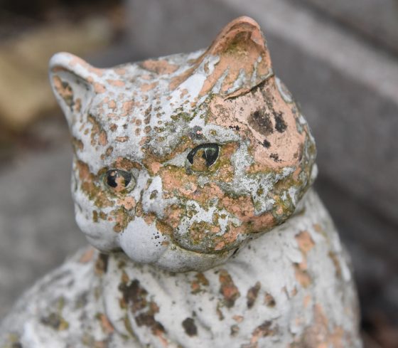Cat deteriorating by the elements at the Paris pet cemetery, showing cultural traditions of saying farewell to pets. (Image © Meredith Mullins.)