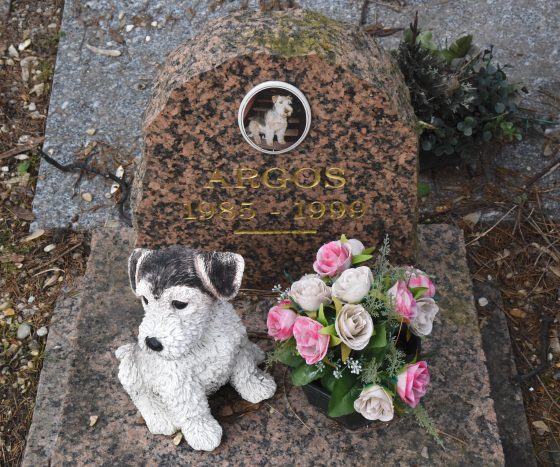 Tombstone for Argos in the Paris pet cemetery, showing cultural traditions for remembering your pets. (Image © Meredith Mullins.)