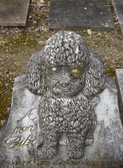 Carved poodle on a tombstone in the Paris pet cemetery, showing cultural traditions for saying farewell to pets. (Image © Meredith Mullins.)