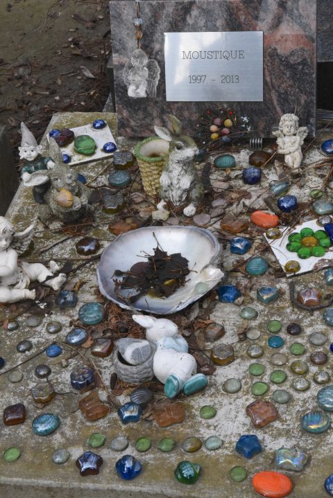 Trinkets on the grave of Moustique at the Paris pet cemetery, showing cultural traditions of saying farewell to pets. (Image © Meredith Mullins.)