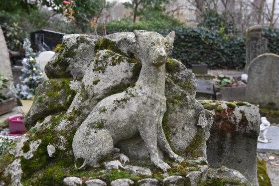 Tombstone with large carved dog at the Paris pet cemetery, showing cultural traditions for saying farewell to pets. (Image © Meredith Mullins.)