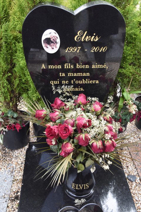 Tombstone for Elvis at the Paris pet cemetery, showing cultural traditions for pet lovers who have lost their pets. (Image © Meredith Mullins.)