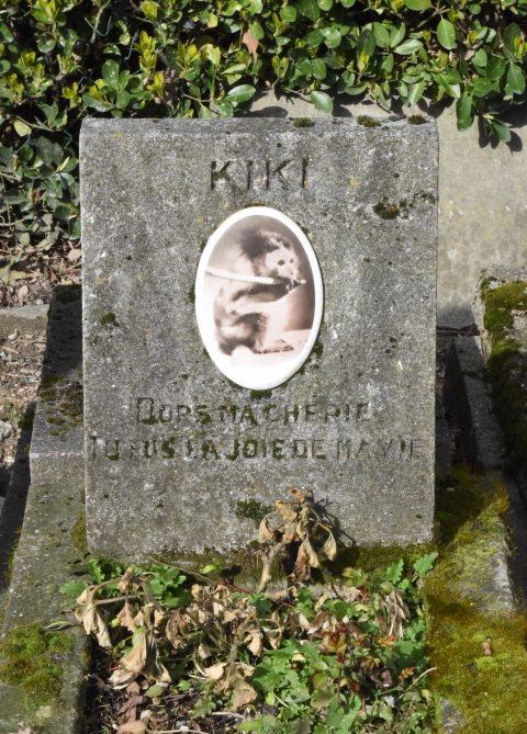 Tombstone for Kiki the monkey at the Paris Pet Cemetery, showing cultural traditions for saying farewell to pets. (Image © Meredith Mullins.)