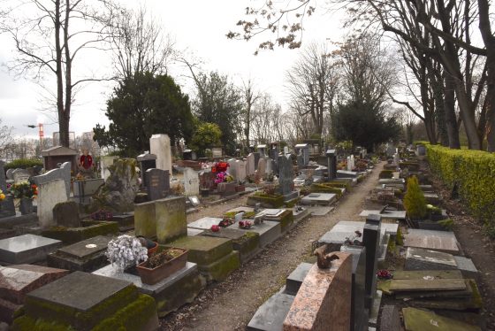 Paris Pet Cemetery, showing cultural traditions of pet lovers. (Image © Meredith Mullins.)