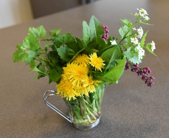 A bouquet of wild herbs and flowers to be used in healthy recipes for a cultural encounter in healthy eating. (Image © Meredith Mullins.)