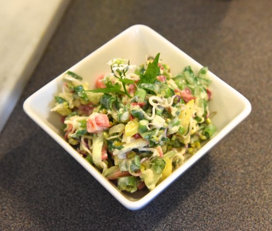 Salad with sprouts and apples, a healthy recipe from Chef Hubert Hohler at Buchinger-Wilhelmi clinic in Germany, showing a cultural encounter with healthy eating. (Image © Meredith Mullins.)