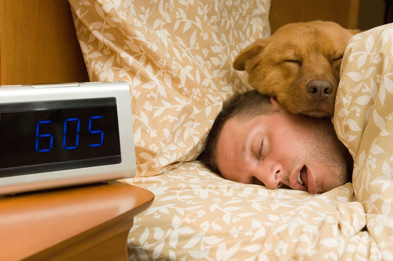 A man, with his dog, who has slept through the alarm may soon wish he could time travel. (Image © iStock/WebSubstance)