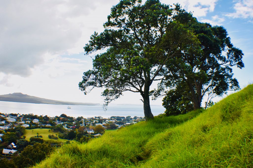 Walking pathways in Devonport’s Victoria Hill are a treat for visitors who are walking New Zealand. (Image © Joyce McGreevy)