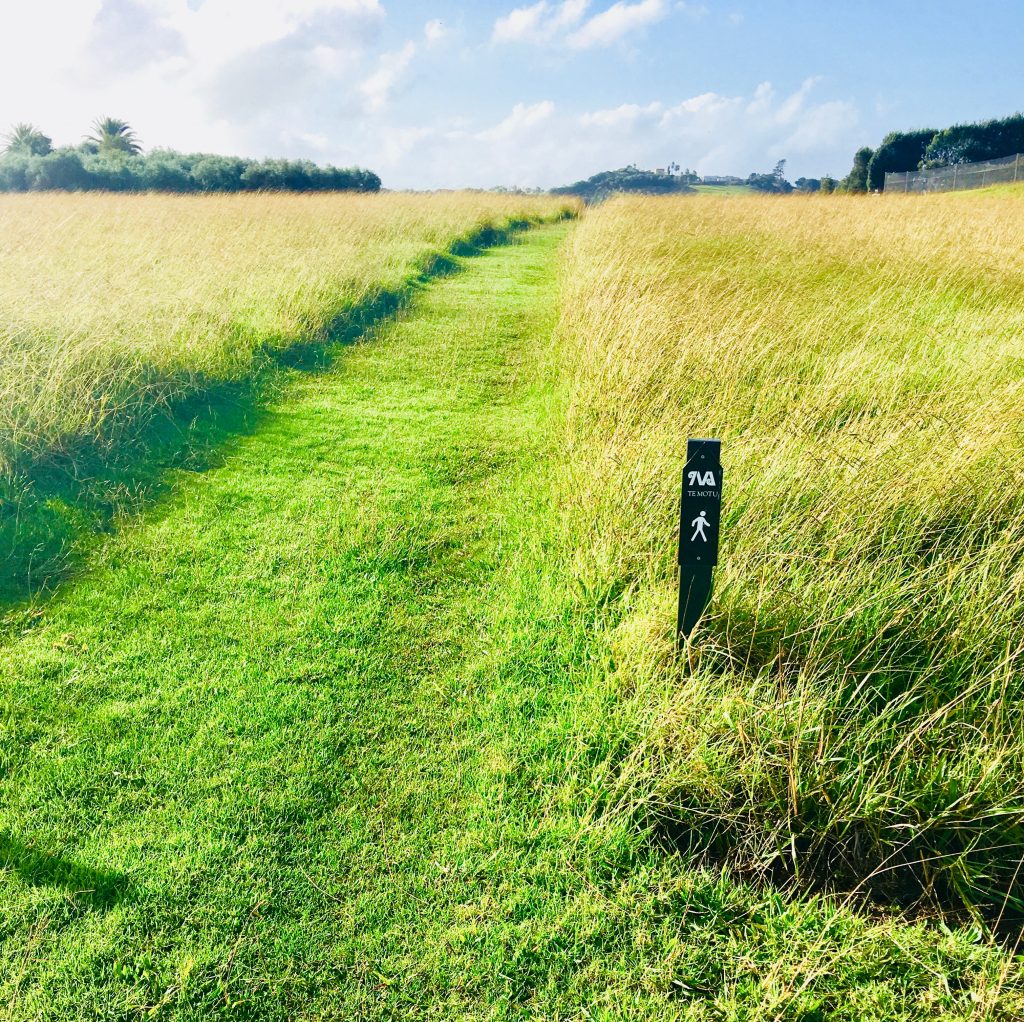 Grassy path toward Waiheke's Te Motu Vineyard is a treat for visitors who are walking New Zealand. (Image © Joyce McGreevy)